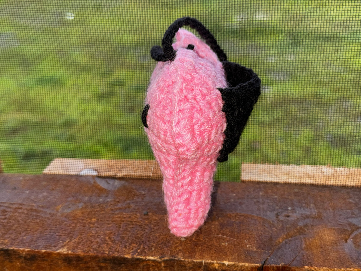Custom Tooth Fairy Pillow