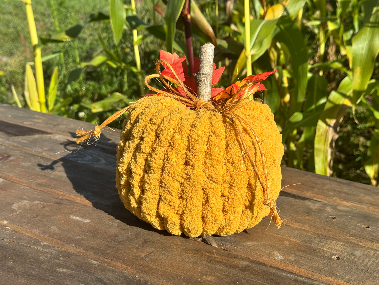 Chunky Pumpkin