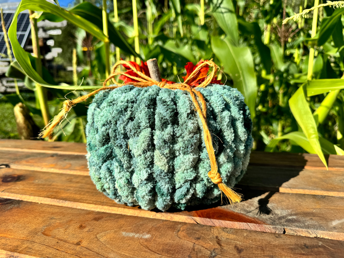 Chunky Pumpkin