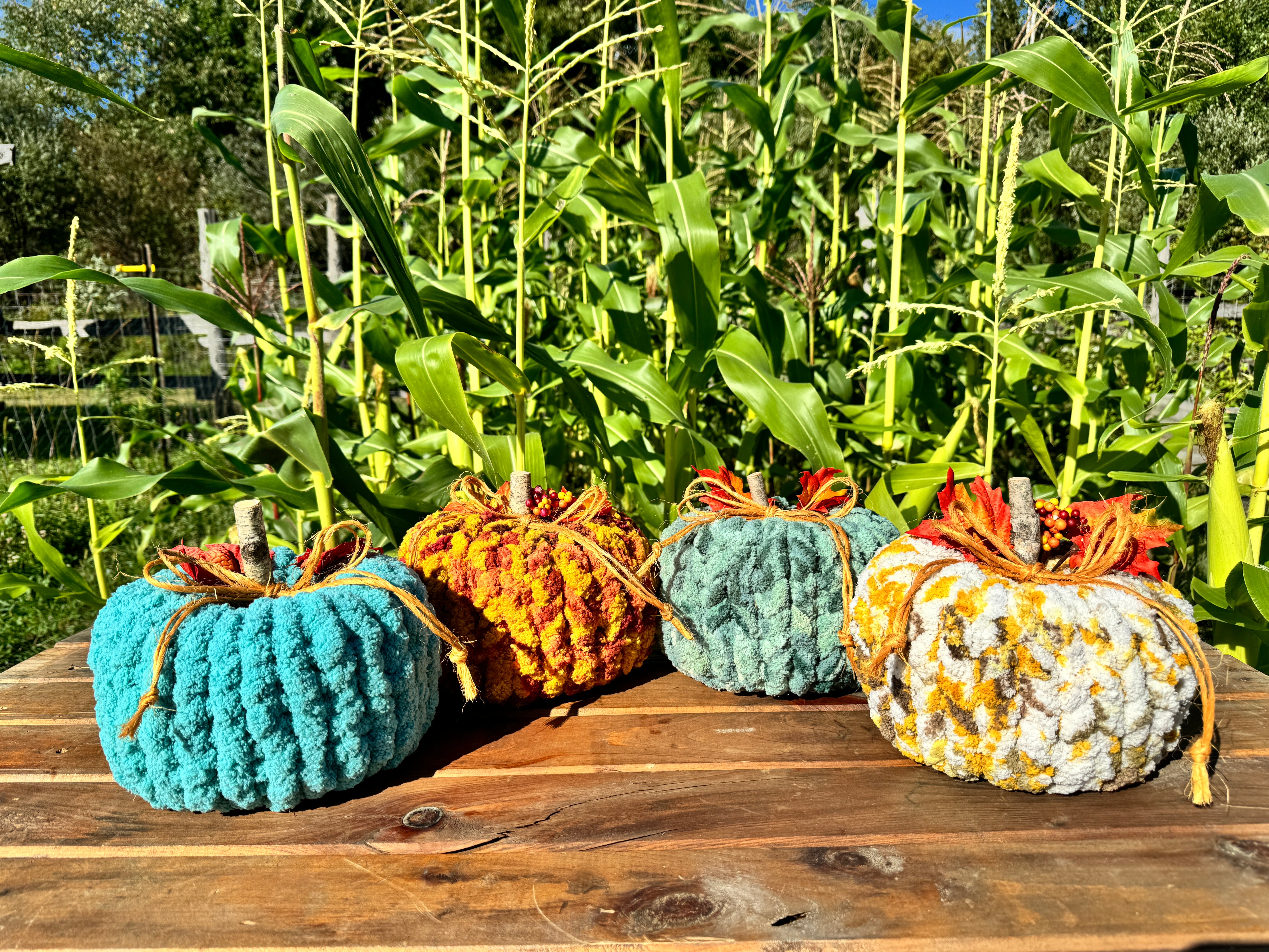 Chunky Pumpkins – Hanbleceya Ranch