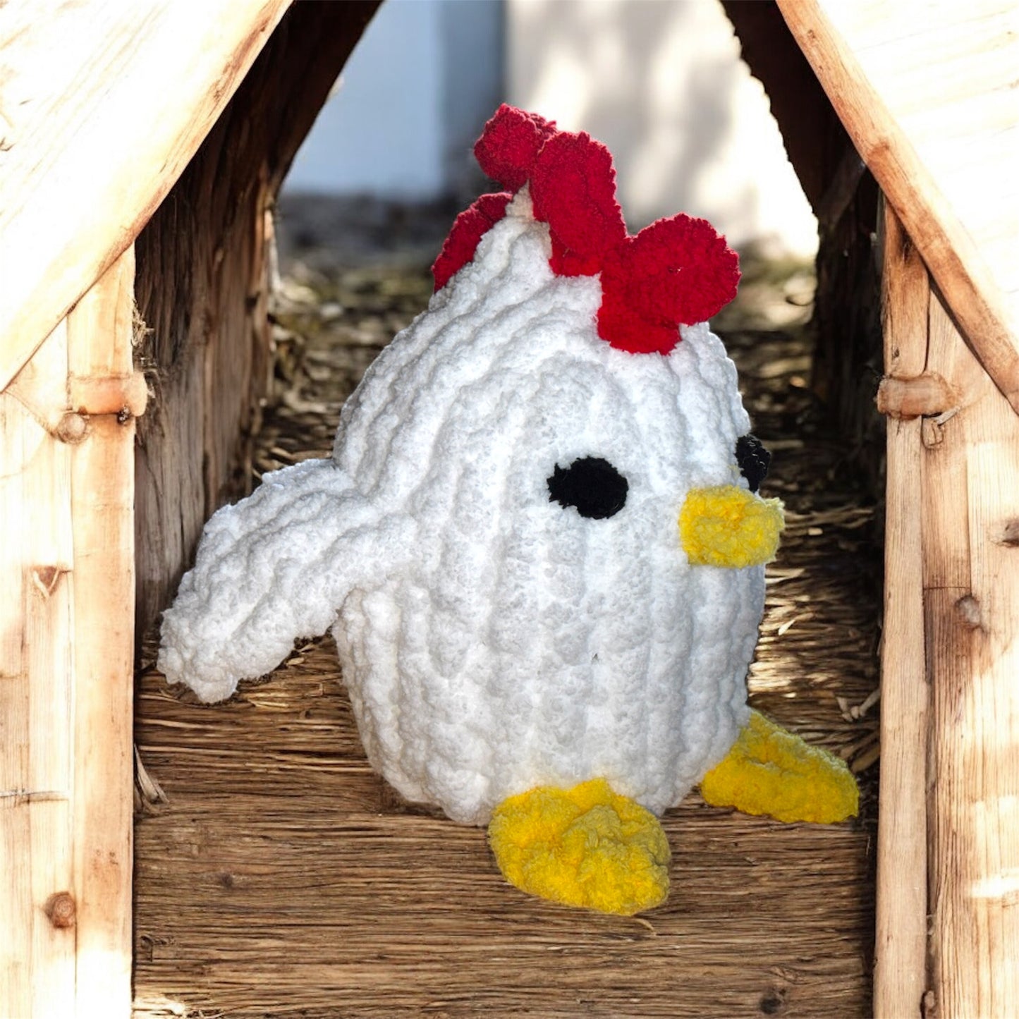 Romeo the Maine Rooster
