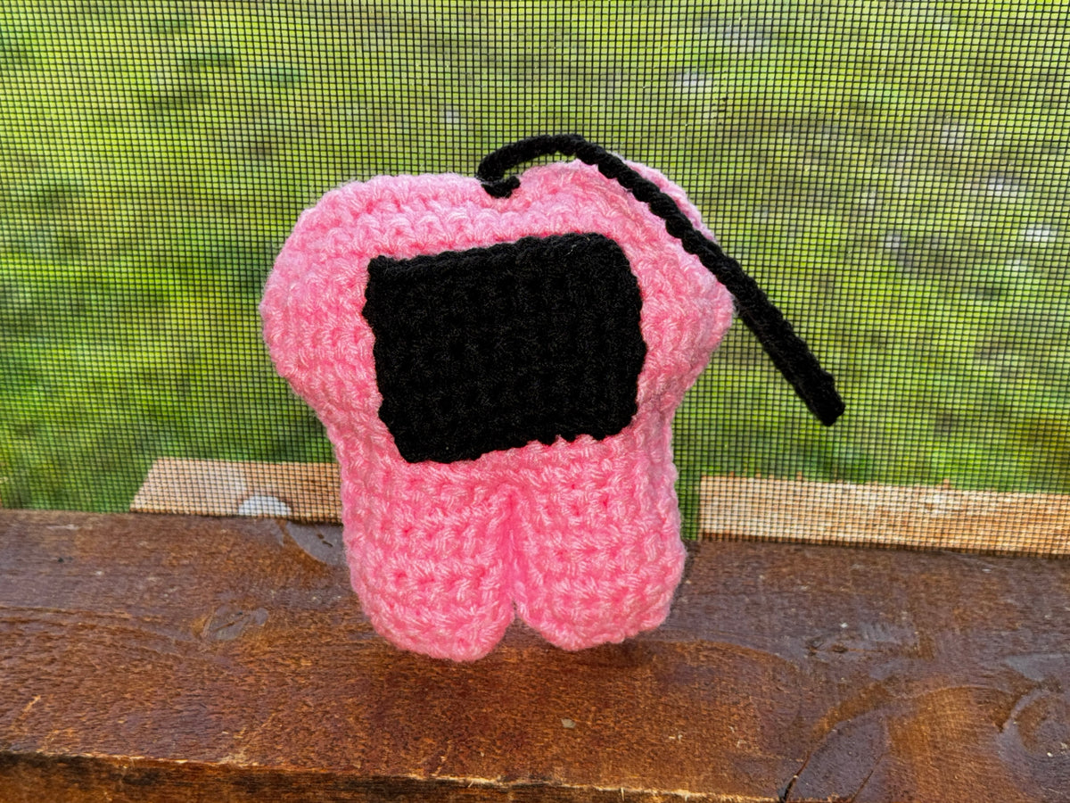 Custom Tooth Fairy Pillow