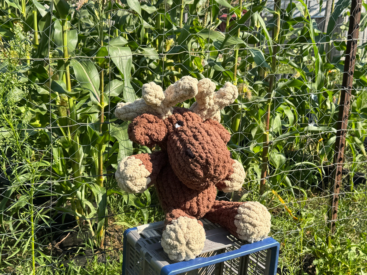 Custom Marty the Maine Moose 🫎