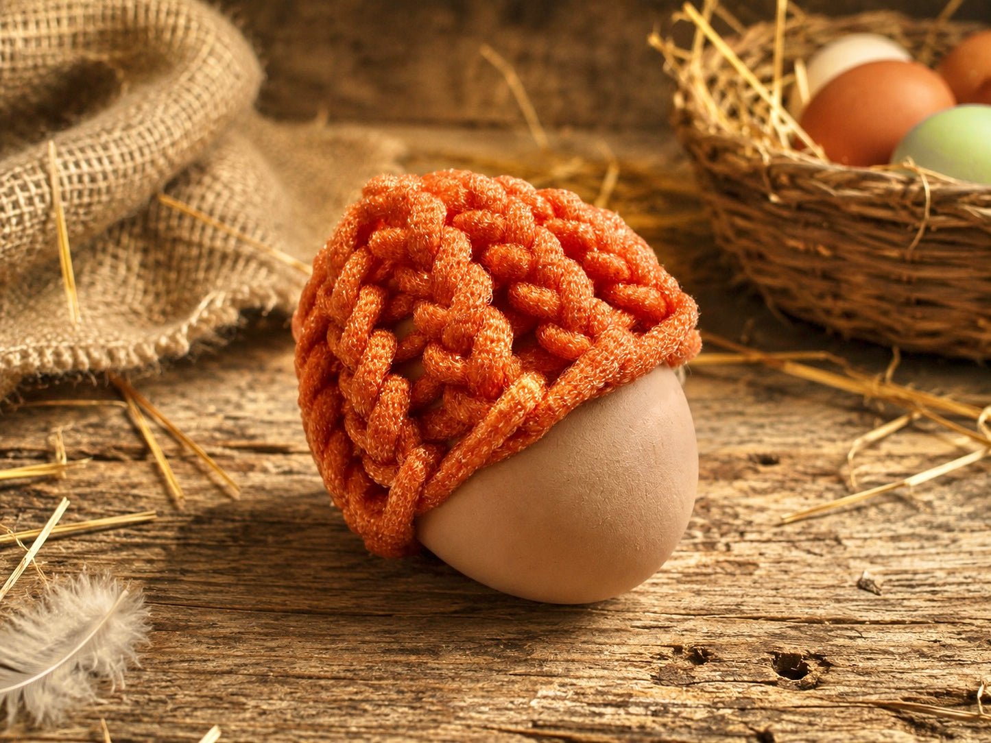 Farm Fresh Egg Scrubbie