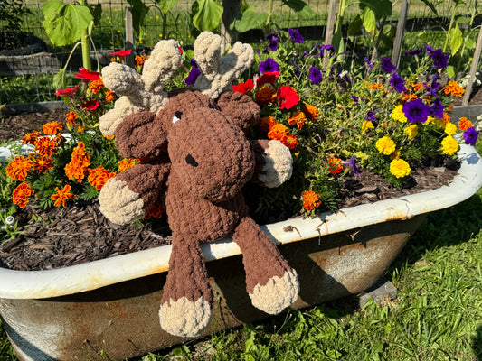 Custom Marty the Maine Moose