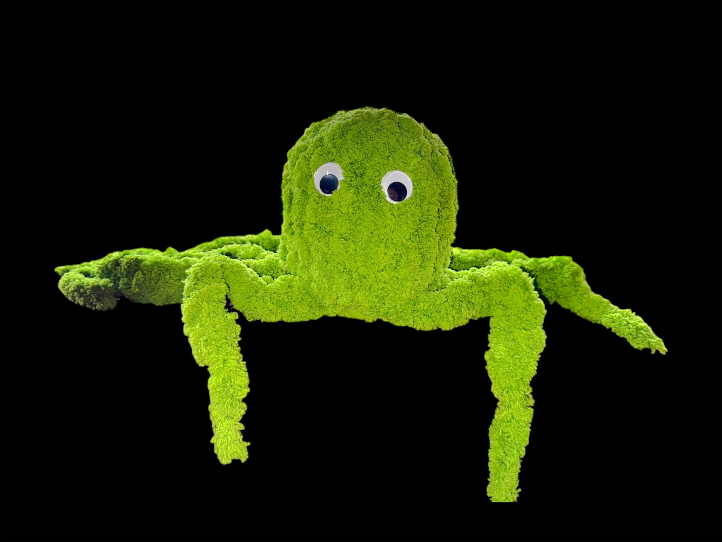 Ophelia the Octopus – Hanbleceya Ranch