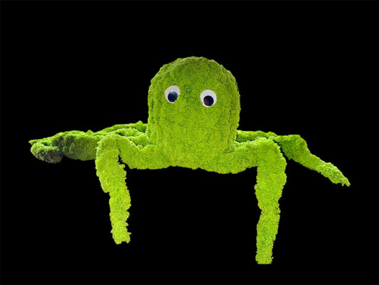 Ophelia the Octopus