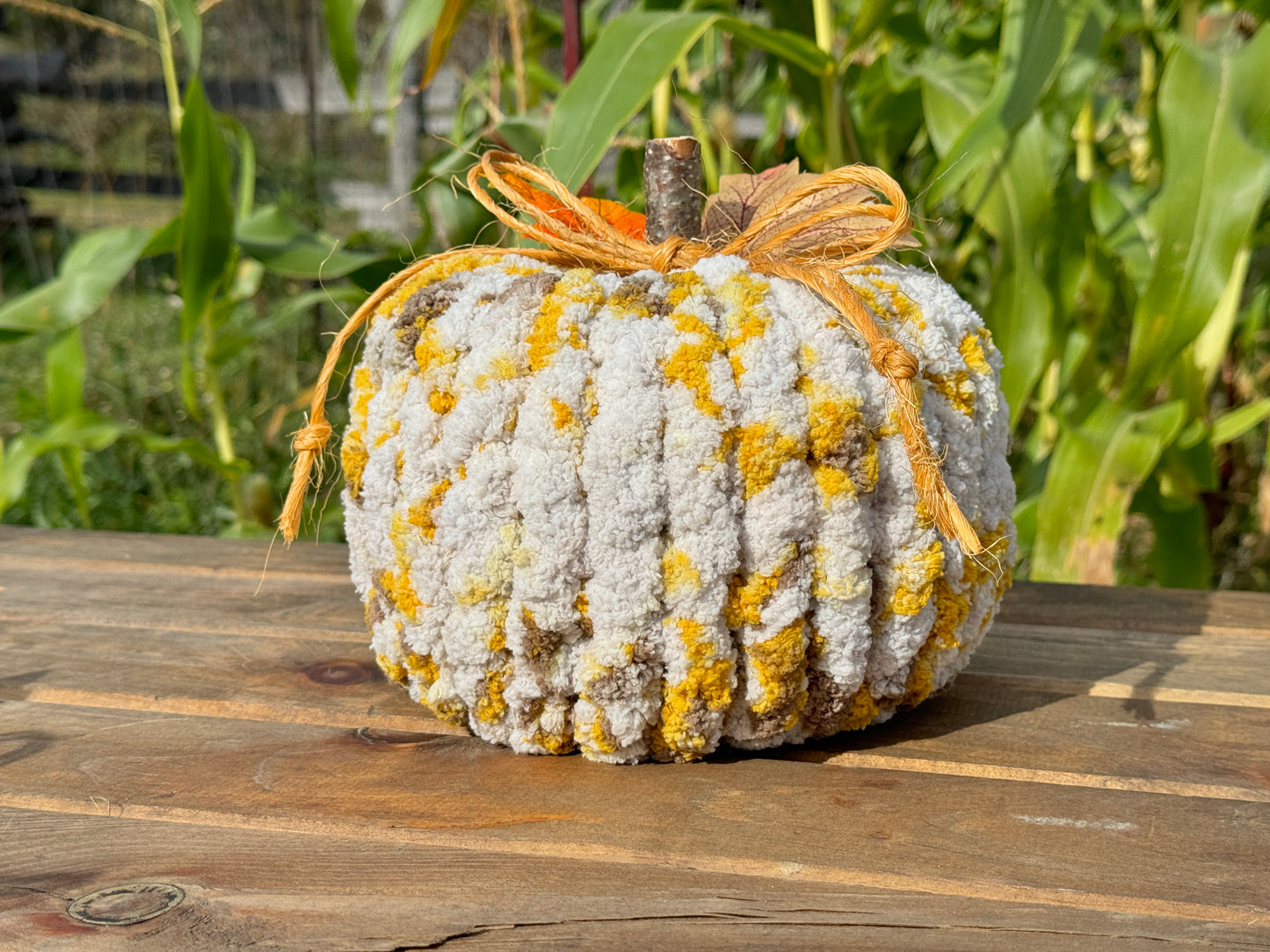 Chunky Pumpkin