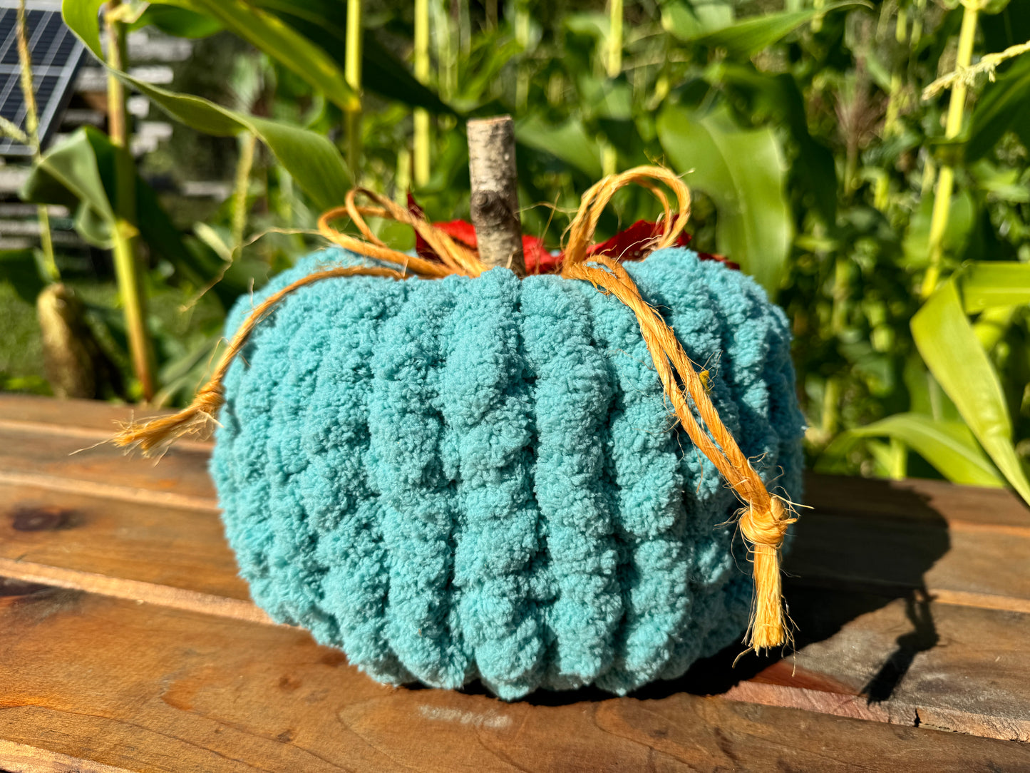 Chunky Pumpkin